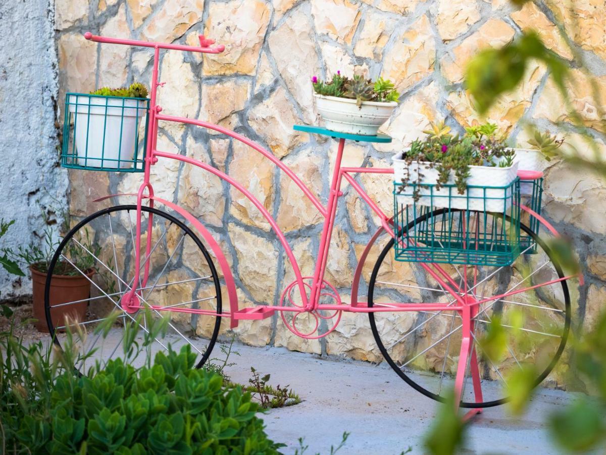 Sun gardens Villa Šibenik Exteriör bild